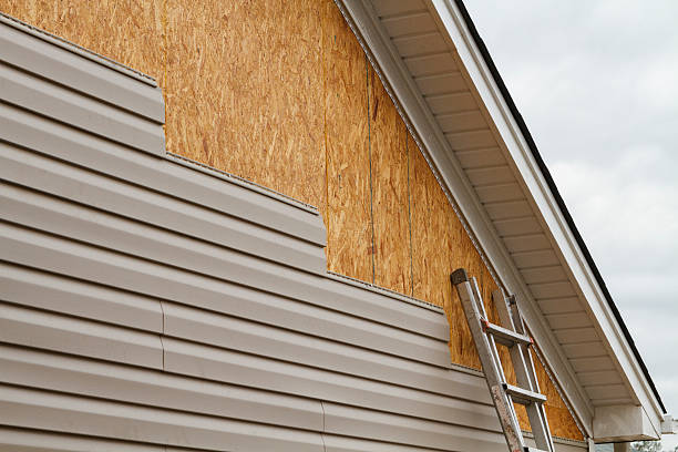 Professional Siding Repair technician working in Chesapeake, OH